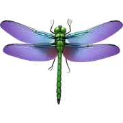 dragonfly sticker
