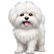 white fluffy dog sticker