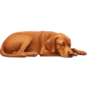 Vizsla sleeping sticker