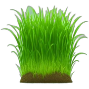 grass sticker
