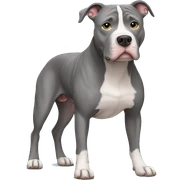 Gray Pitbull standing sticker