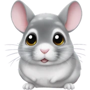 Chinchilla  sticker