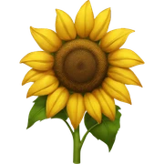 Sunflower sticker
