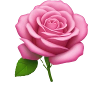 Rosa sticker