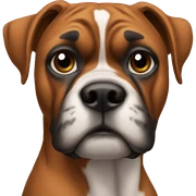 Boxer sticker