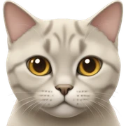 british shorthair beige cat sticker