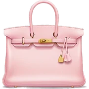 light pink hermes birkin bag  sticker