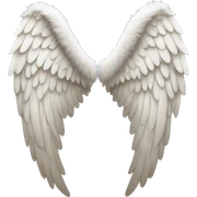 Angel wings sticker