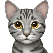 Grey tabby sticker