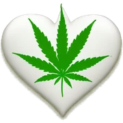 heart of cannabis sticker