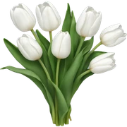 White tulips sticker