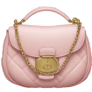 Dior purse sticker