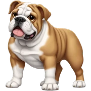 English bulldog sticker