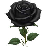 Black rose sticker