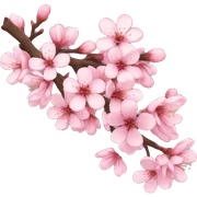 Sakura  sticker