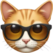 Cat with sunglasses sticker