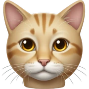 Hot cat sticker