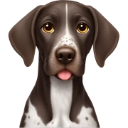 German shorthair in love sticker