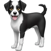 black and white dog  sticker