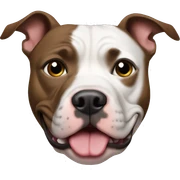 Pitbull sticker