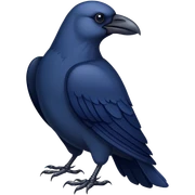 navy blue crow sticker