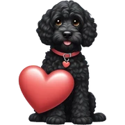 Black cockapoo with heart sticker