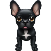 Black Frenchie puppy sticker