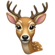 deer sticker