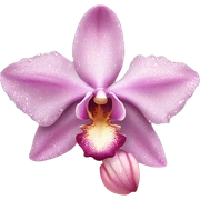 Orchid "A luxurious pastel pink orchid with perfectly detailed petals, a glowing core, and faint glitter trailing off its edges." sticker
