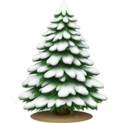  actual white fir christmas tree isolated.  sticker