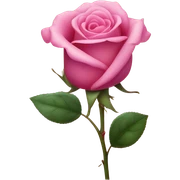 pink sticker