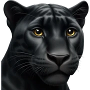 Black panther animal sticker