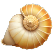 Shell sticker