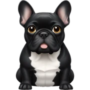Black french bulldog sticker