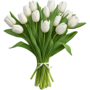 white tulip bouquet  sticker