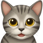 Gato sticker