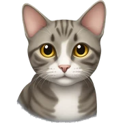 American short hair cat sticker