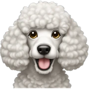 Poodles  sticker