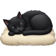 black cat sleeping sticker