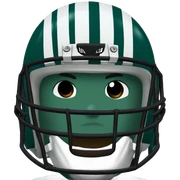 Philadelphia eagles sticker