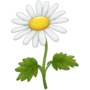 chamomile sticker