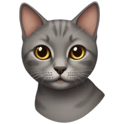 British short hair cat sticker