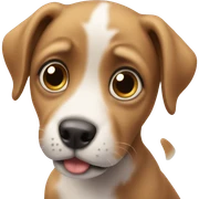 puppy with big pleading eyes sticker