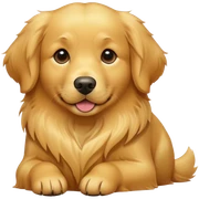 Golden retriever  sticker