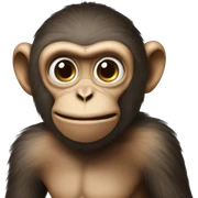 monkey being dumb sticker