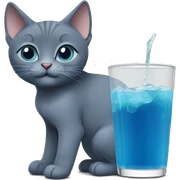 Russian Blue cat Drink  sticker