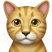 Golden cat sticker