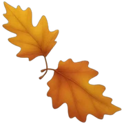 Autumn leave with a smile sticker