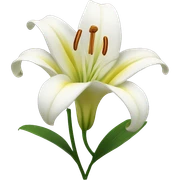 Lily flower  sticker