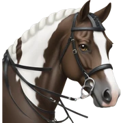 Dressage sticker